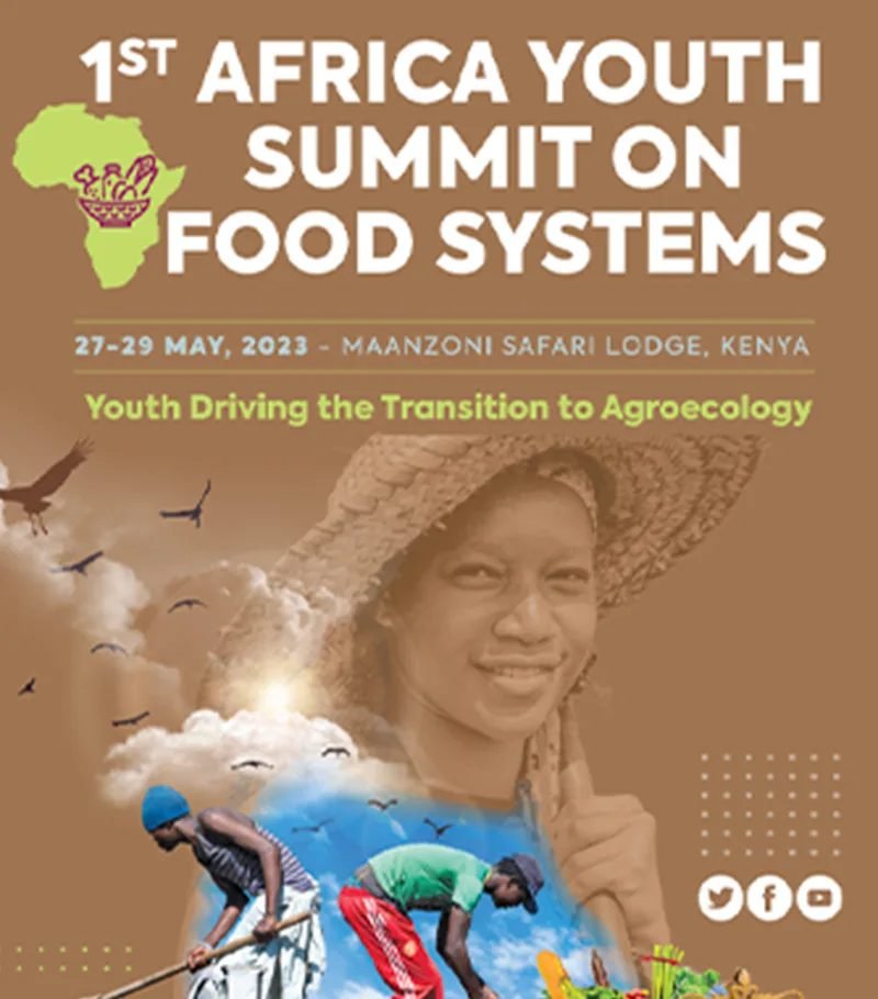 Africa Youth Summit on Food Systems — Campaign Design by SketchNet