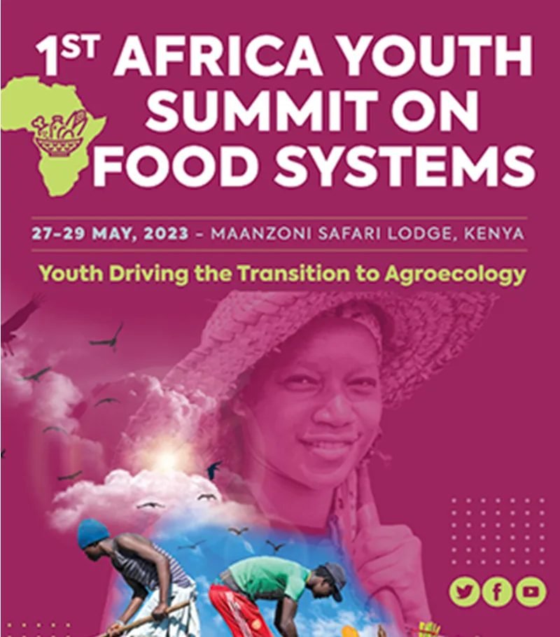 Africa Youth Summit on Food Systems — image 2